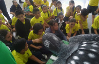 400 Costa Rican students commit to Wildlife