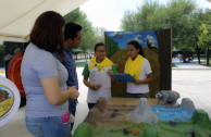 Feria Madre Tierra