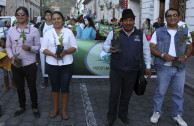 desfile ambiental