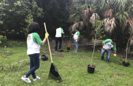 jornada ambiental