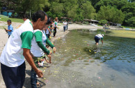  Celebration of the International Environment Day