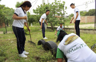 Jovenes Tierra