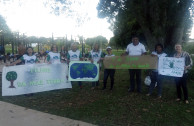 Carteles por el Medio Ambiente