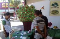 Ponencia ambiental 