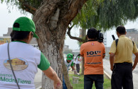 Peru organizes educational sessions and environmental restoration actions.