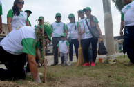 Activistas del norte del país siembran con amor.