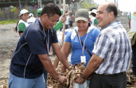 Participación en campaña