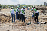 In Prado Mar cleaning of plastics