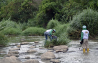 Cleaning the Pamplonita River 