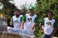 solidarios_houston