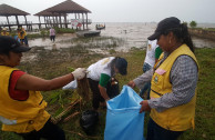 Secretaría de ambiente