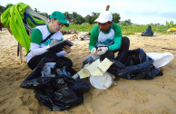 Volunteers collected more than 1.3 tons of garbage on beaches