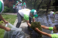 Volunteers collected more than 1.3 tons of garbage on beaches