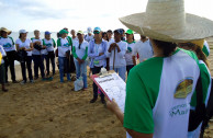 Volunteers collected more than 1.3 tons of garbage on beaches