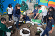 Chile reuses and sows life.