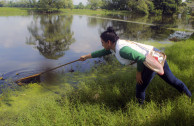 Limpieza de río