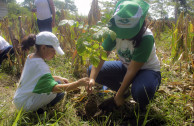 Plan to keep rivers and beaches free of pollution in Mexico.