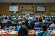 La EMAP presente en el UNFPII 17