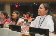 "Working for the Peace of Mother Earth and Indigenous Peoples"