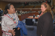 “Trabajando por la Paz de la Madre Tierra y los Pueblos Indígenas”