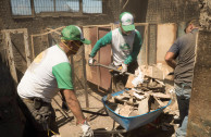 shovels and wheelbarrows