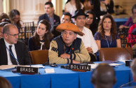 The GEAP participates in the 48th Sessions Period of the General Assembly of the OAS