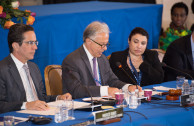 The GEAP participates in the 48th Sessions Period of the General Assembly of the OAS