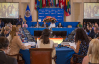 The GEAP participates in the 48th Sessions Period of the General Assembly of the OAS