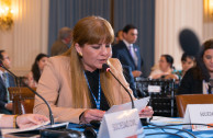 The GEAP participates in the 48th Sessions Period of the General Assembly of the OAS