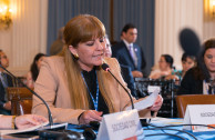 The GEAP participates in the 48th Sessions Period of the General Assembly of the OAS