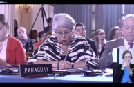 The GEAP participates in the 48th Sessions Period of the General Assembly of the OAS