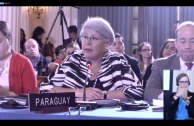 The GEAP participates in the 48th Sessions Period of the General Assembly of the OAS