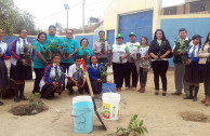 Peru joins World Environment Day