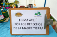 Recolección firmas