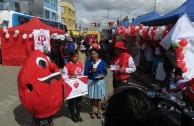 Donantes voluntarios