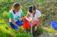 World Mother Earth Day is celebrated in Mexico