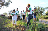 Campaña de reforestación