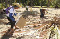 Dominican Republic celebrates World Environment Day