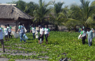 Limpieza de playas en Guatemala