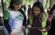 Firmando voluntariamente.