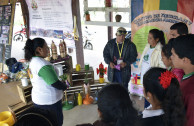 The GEAP on World Environment Day creating awareness among Bolivians.