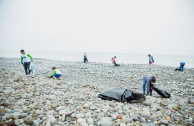 Lima joins environmental awareness and collects 1350 kilos of garbage on the beaches