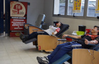 Donations in order to guarantee the blood supply