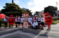 donar sangre, argentina, activistas por la paz