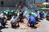 Ecuador publically reads the proclamation of the Constitution of the Rights of Mother Earth