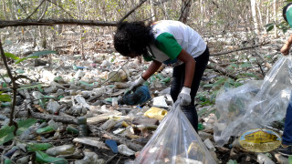 activistas de la paz limpiando bosque