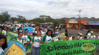 lara, zulia y regione de los llanos y los andes