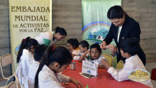 Actividad ambiental