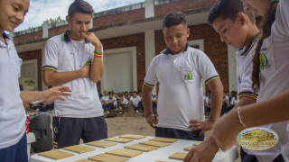 dinámicas de trabajo