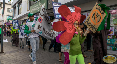 Marcha para conservar 